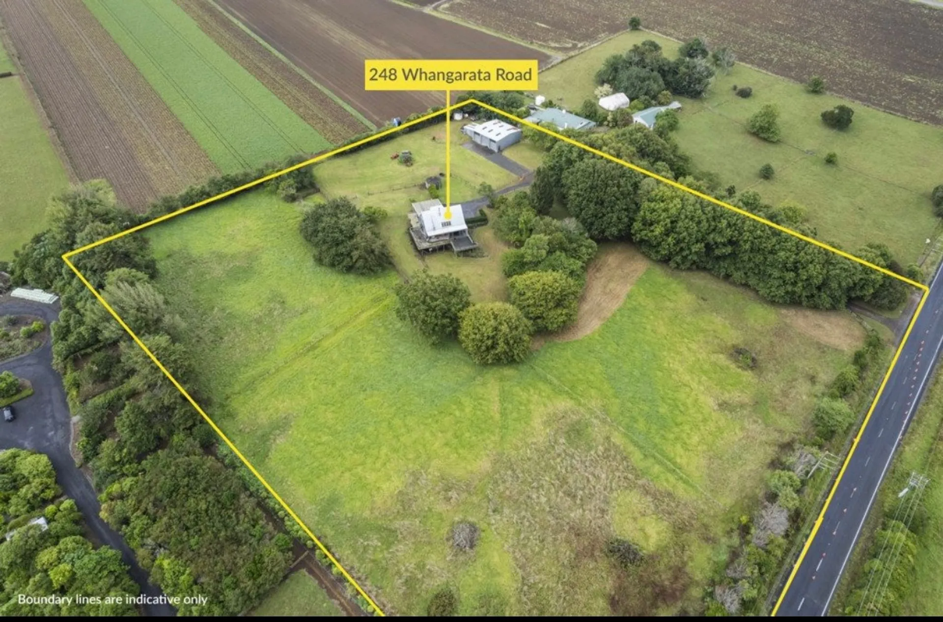 pokeno homes for sale